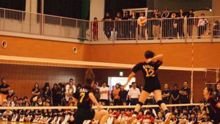 健祥会レッドハーツ バレーボール