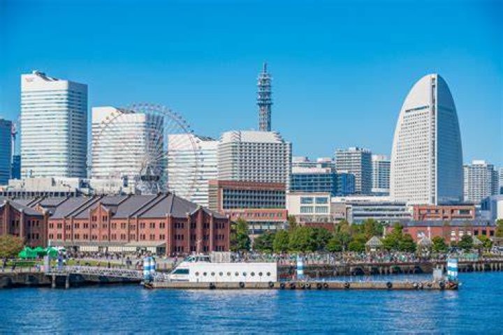横浜で安全な交流を考えるイメージ